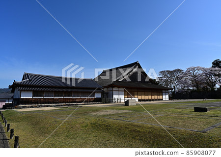 Sakura of Sasayama castle 85908077