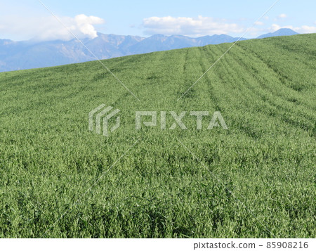 十勝岳美瑛町北海道 85908216