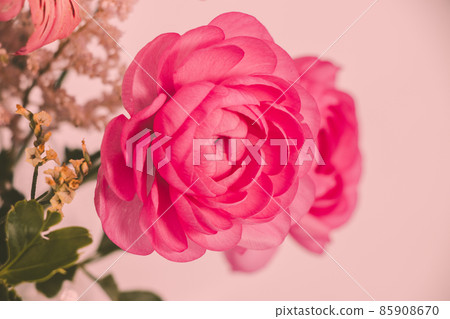 Free Flower_Elegant-4 Free Flower_Elegant-4 85908670