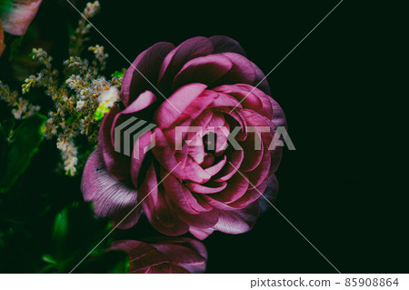 Free Flower_Elegant-14 Free Flower_Elegant-14 85908864