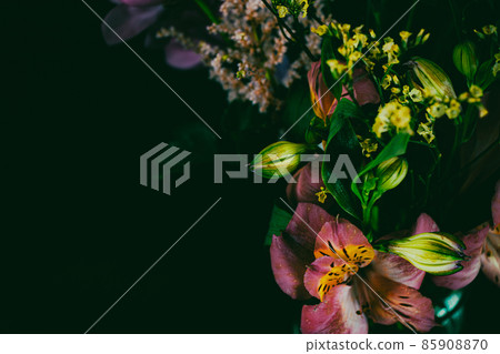 Free Flower_Elegant-19 Free Flower_Elegant-19 85908870