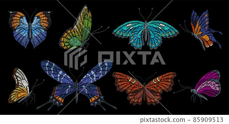 Vintage embroidered butterfly. Embroidery butterflies, insect silk stitch elements. Spring summer fashion patches, bright wings nowaday vector set 85909513