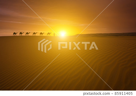 Camel caravan in the desert on a sand dune at sunset Camel caravan in the desert on a sand dune at sunset 85911405