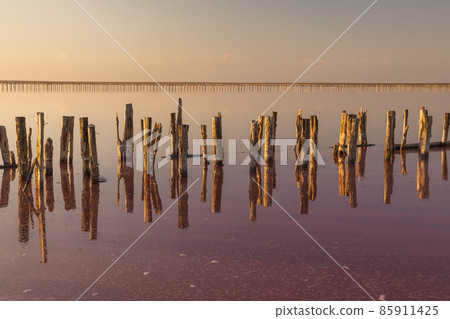 Salt on a pink salt lake at sunset. Pink Salt Lake Hutt Lagoon. 85911425