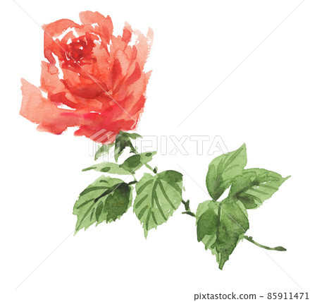 illustration, rose, roses 85911471