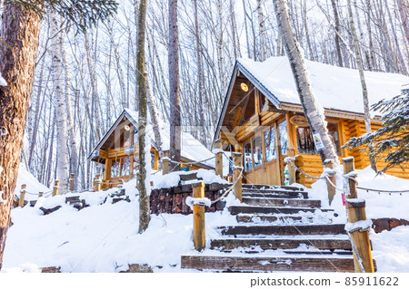 [Winter in Furano, Hokkaido] Ningle Terrace January 85911622