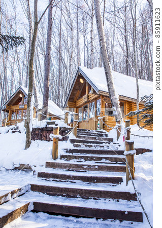 [Winter in Furano, Hokkaido] Ningle Terrace January 85911623