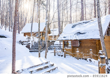 [Winter in Furano, Hokkaido] Ningle Terrace January 85911624