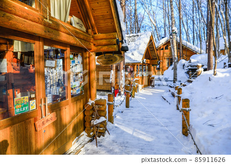 [Winter in Furano, Hokkaido] Ningle Terrace January 85911626