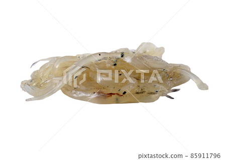Fish noodles 85911796