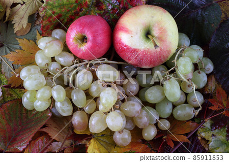 Apples and grape on autumn leaves Apples and grape on autumn leaves 85911853