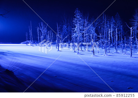 [Biei-cho, Hokkaido] Winter blue pond scenery illuminated 85912255