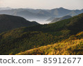 Border island "Tsushima" 85912677