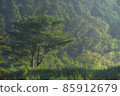 Border island "Tsushima" 85912679