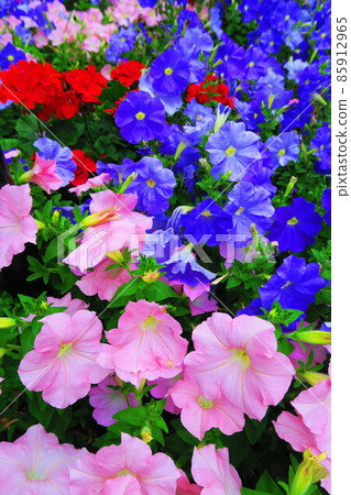 花床風景 85912965