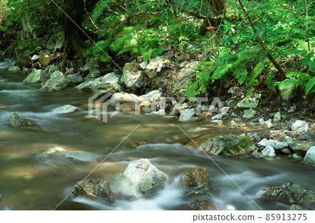 Kanba River flowing through Kanba Falls Nature Park 1 Maniwa City, Okayama Prefecture 85913275