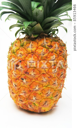 Various landscapes with pineapple 85913466