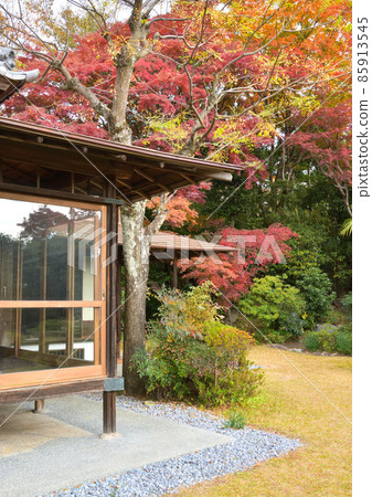 Minaharuso Sendan no Ki Minaharuso Sendan no Ki 85913545