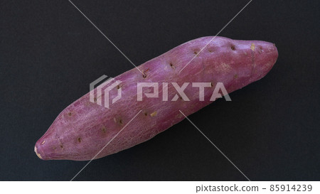 Sweet potato │ When it comes to Kintoki Sweet potato │ When it comes to Kintoki 85914239