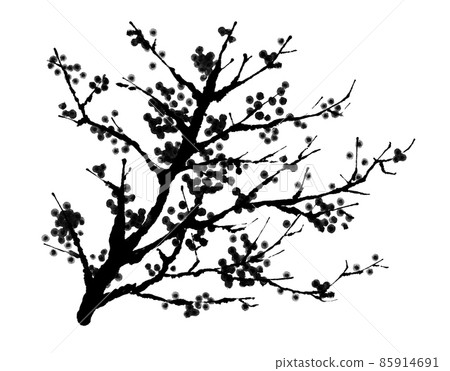 Illustration of plum (monochrome) 85914691