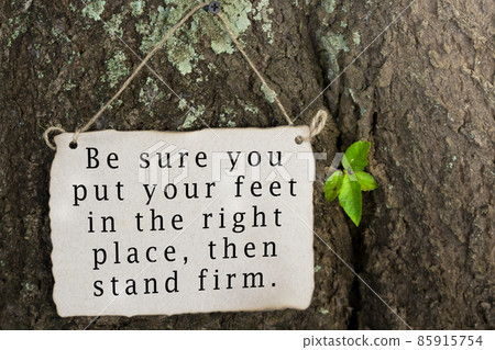 Inspirational and motivational quote on nature background 85915754