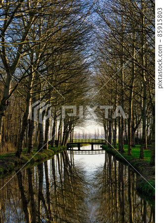Bridge at the end of a canal surrounded by trees 85915803