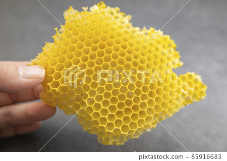 西方蜜蜂巢在我手中 85916683