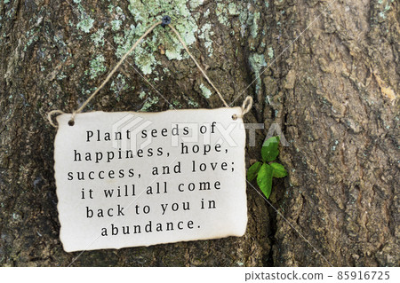 Inspirational and motivational quote on nature background 85916725