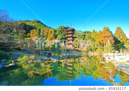 [Yamaguchi Prefecture] Ruriko-ji Five-storied Pagoda and Tower Shadow Pond under clear skies 85918117