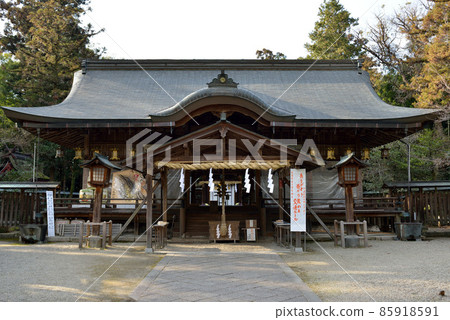 大和神社的海傳 85918591