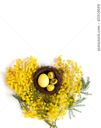 Easter composition with yellow acacia flowers and eggs in a nest on a white background. Vertical orientation. Space for text. Easter composition with yellow acacia flowers and eggs in a nest on a white background. Vertical orientation. Space for text. 85919049