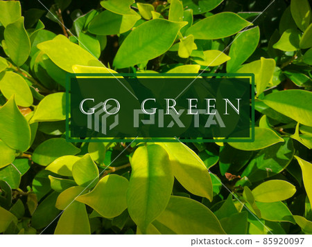 Go green text on leaves background 85920097