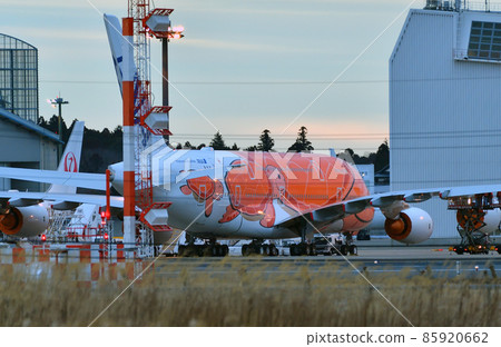 Sea turtle No. 3 Sea turtle No. 3 85920662