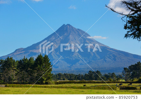 Taranaki 85920753