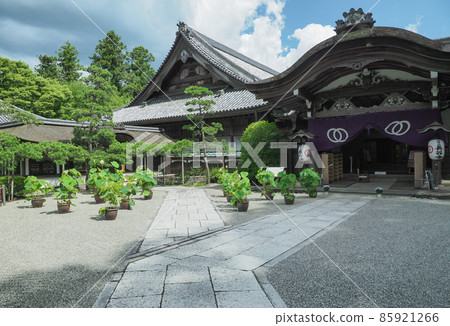 Nara Temple in Nara Prefecture 85921266