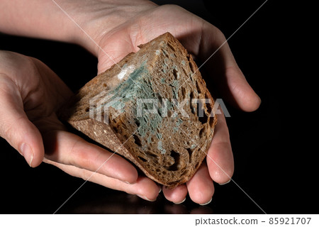 Human hands palms holding old rye bread peace Spoiled food 85921707
