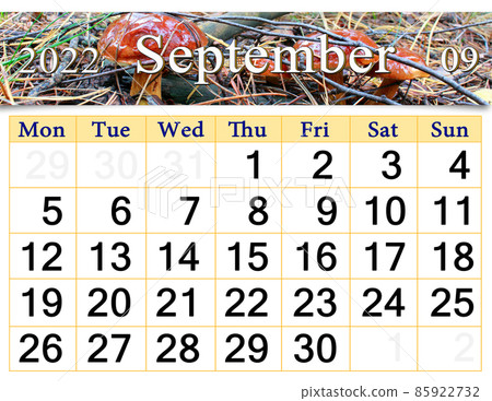 September 2022 Calendar for organizer to plan and reminder on nature background 85922732