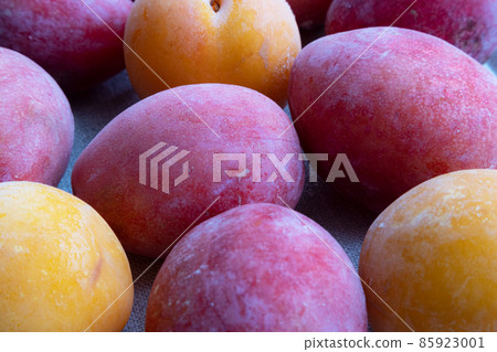 Background with frozen red and yellow plum. Procurement and storage of products. Poster Background with frozen red and yellow plum. Procurement and storage of products. Poster 85923001