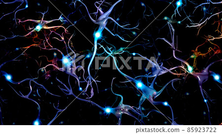 Neurons 85923722