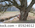 Colorfull hammock under big tree waving in a wind 85924012