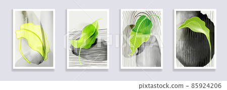 Botanical wall art vector set Botanical wall art vector set 85924206