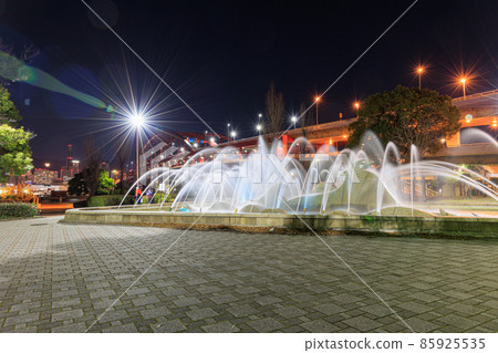 Kobe Port Island Night Dolphin Show Kobe Port Island Night Dolphin Show 85925535