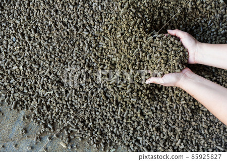 Male hands holding handful of pelleted rapeseed cake Male hands holding handful of pelleted rapeseed cake 85925827