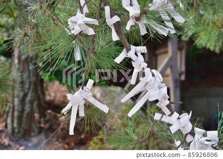 Omikuji 85926806