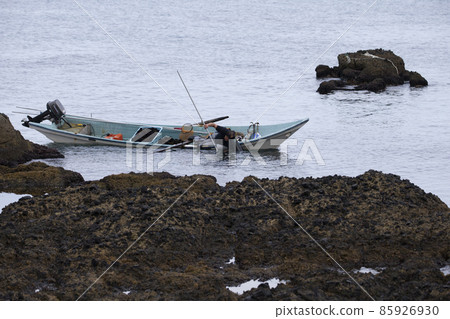 Sea urchin fishing Sea urchin fishing 85926930