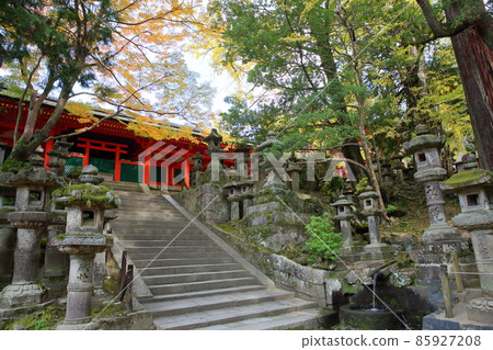 Kasuga Taisha red-painted corridor Kasuga Taisha red-painted corridor 85927208