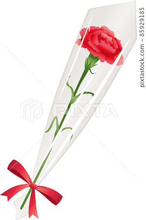 Image illustration of wrapped flowers (carnations). (Mother's Day) Image illustration of wrapped flowers (carnations). (Mother's Day) 85929185