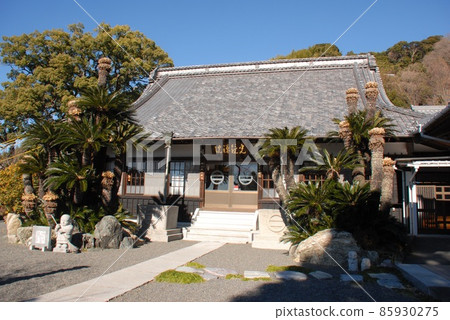 Seiryoyama Kokyoin Main Hall(靜岡市葵區) Seiryoyama Kokyoin Main Hall(靜岡市葵區) 85930275