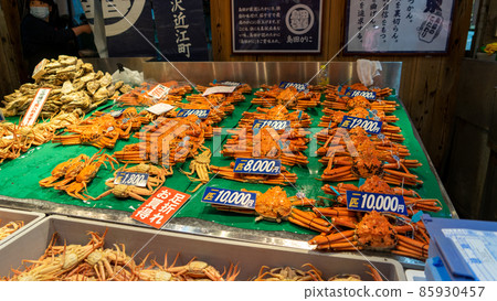 Omicho Market Kanazawa 85930457