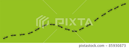Ants trail. Route or path of ants isolated in green background. Vector illustration 85930873